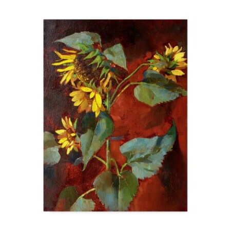 Trademark Fine Art Hall Groat Ii 'Sunflower Red' Canvas Art, 24x32 ALI35639-C2432GG